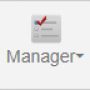 manager_tool.png